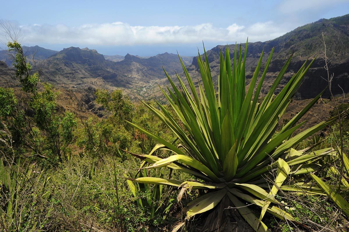 Circuit Secrets capverdiens pas cher photo 6