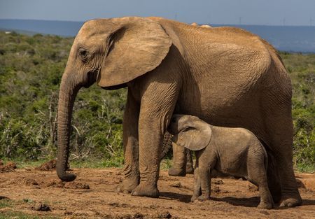 Splendeurs du Kenya 10J/07N 2019 pas cher photo 10