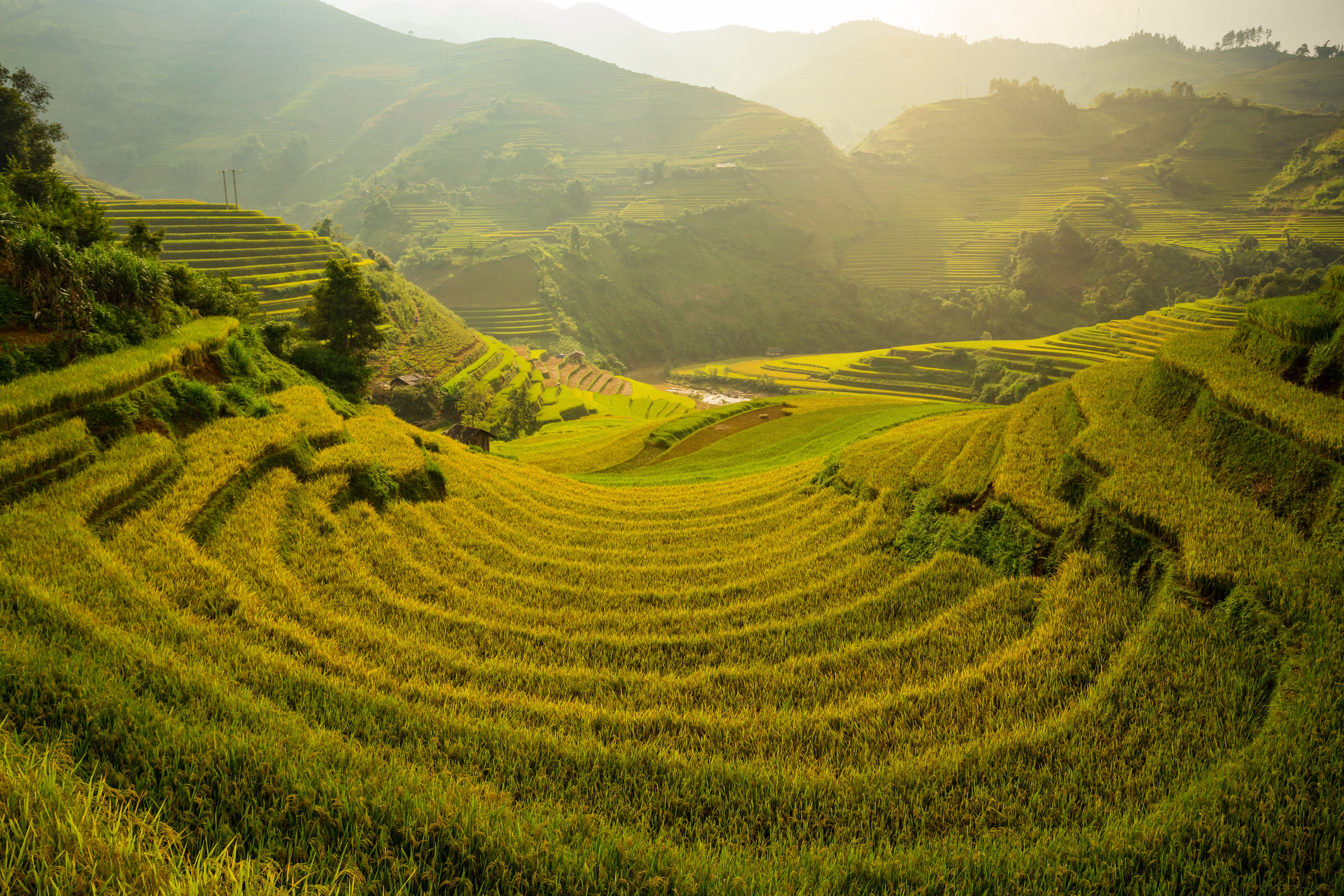 MAGIE DU VIETNAM - 12J9N - 2020 pas cher photo 1