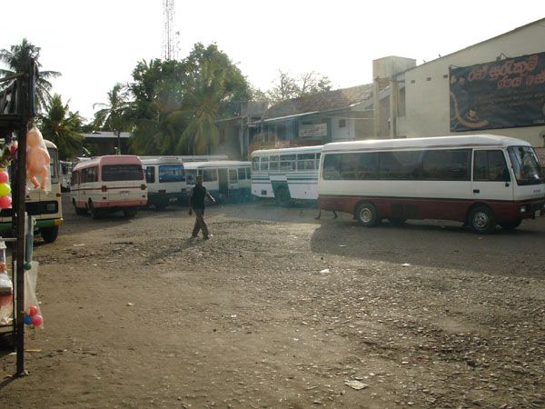 Les Merveilles du Srilanka 3* : circuit découverte pas cher photo 5