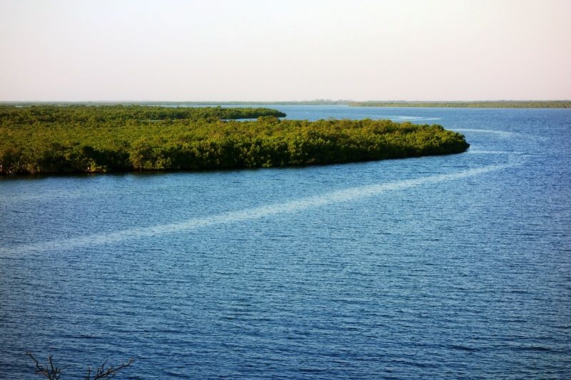 MOSAIQUE SENEGALAISE pas cher photo 1