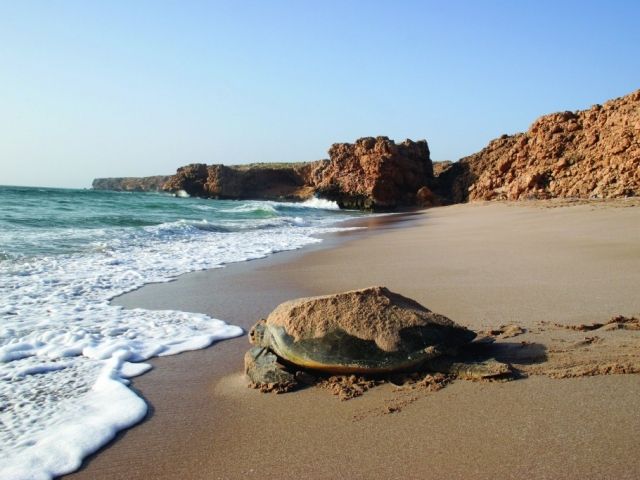 Circuit Oman 6 nuits 3/4* pas cher photo 9