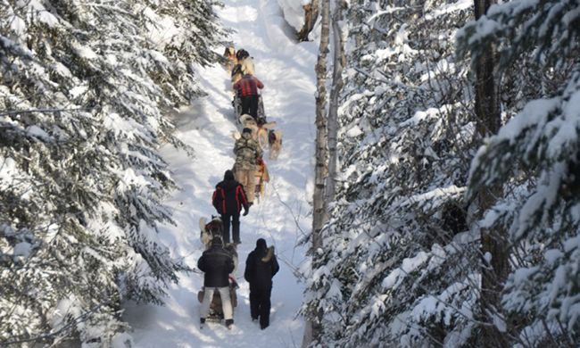 INDISPENSABLE CANADA HIVER - Option n°1 pas cher photo 8
