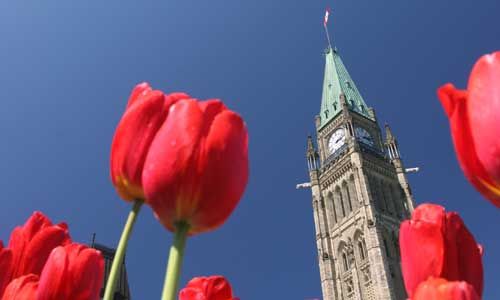 1ER REGARD CANADA EST pas cher photo 7