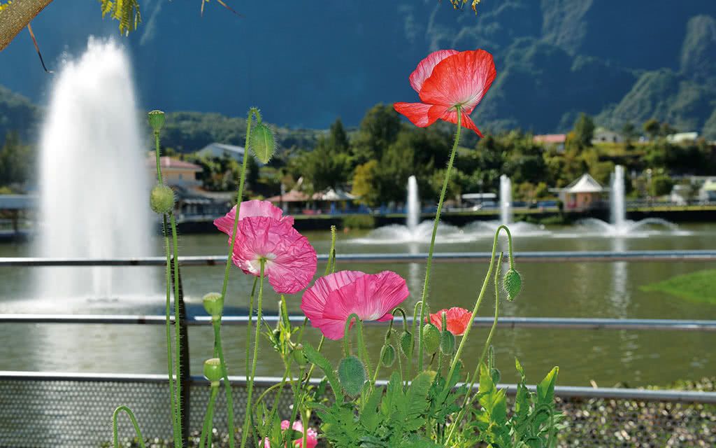 ILE DE LA REUNION : Circuit de Sites en Sites "Confort" - 10 nuits pas cher photo 11