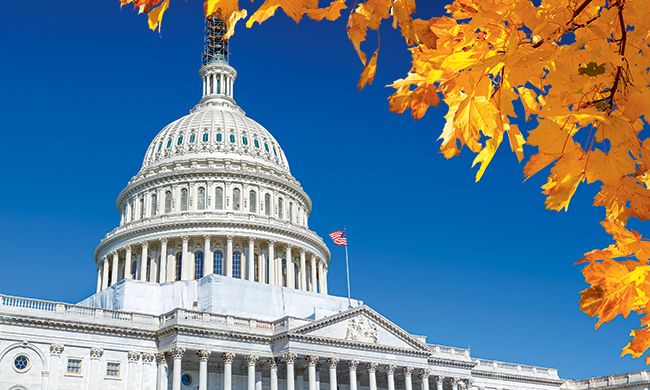 INDISPENSABLE COTE EST pas cher photo 2