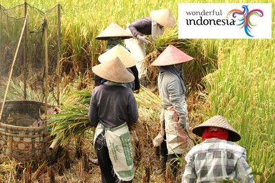 Merveilles de Bali 4*, élu meilleur circuit ! pas cher photo 1