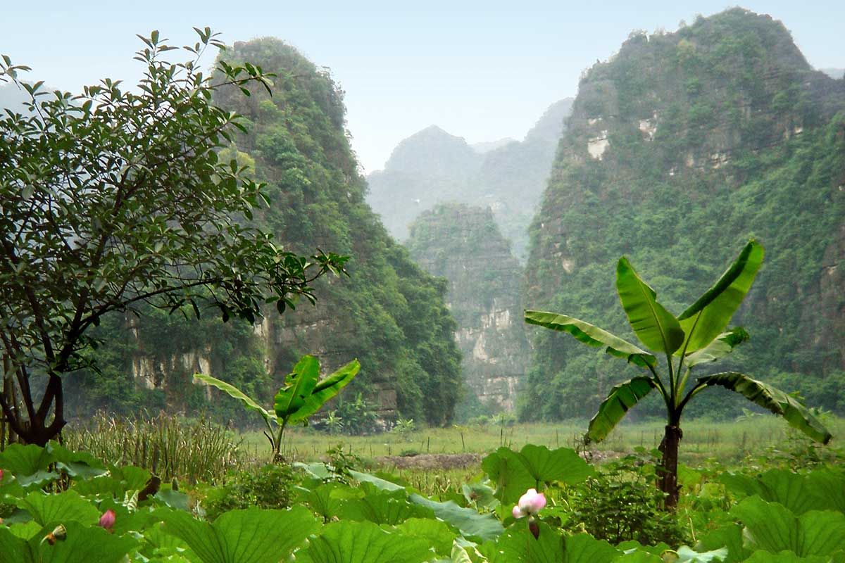 Circuit Vietnam Multicolore - Départs 2019 pas cher photo 5