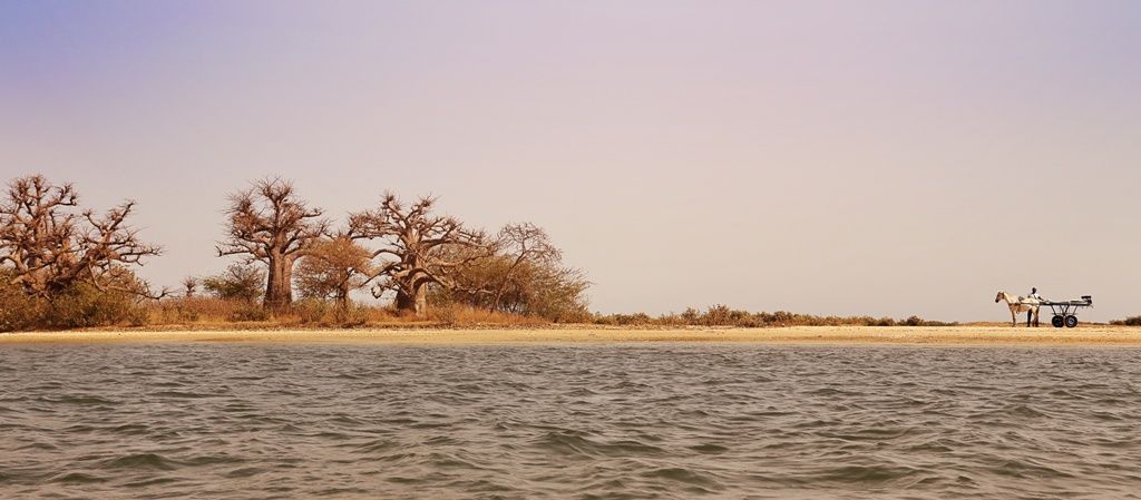 JOYAUX DU SENEGAL - 9J/7N pas cher photo 2