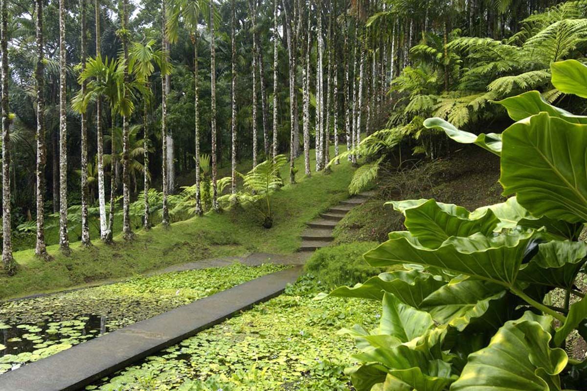 Circuit Echappée Martinique Insolite depuis le Karibea Sainte Luce 3* pas cher photo 2