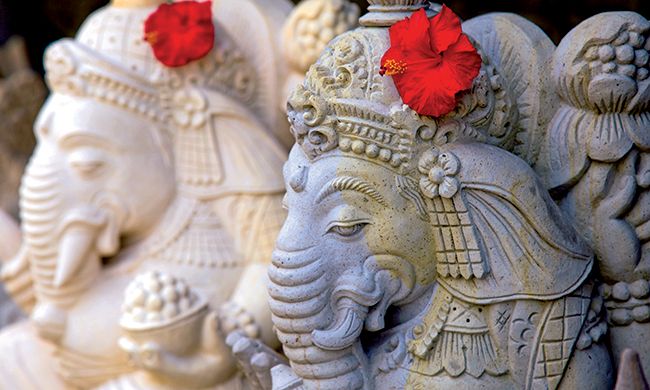 INDISPENSABLE BALI pas cher photo 7