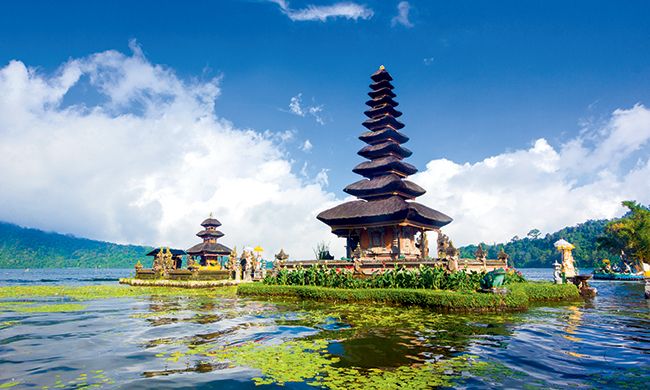 INDISPENSABLE BALI pas cher photo 2