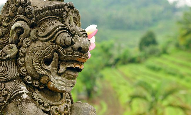 INDISPENSABLE BALI pas cher photo 4
