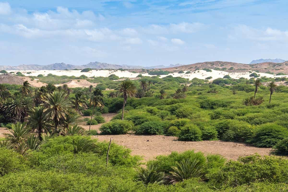 Échappée active depuis le Riu Palace Boavista 5* pas cher photo 4