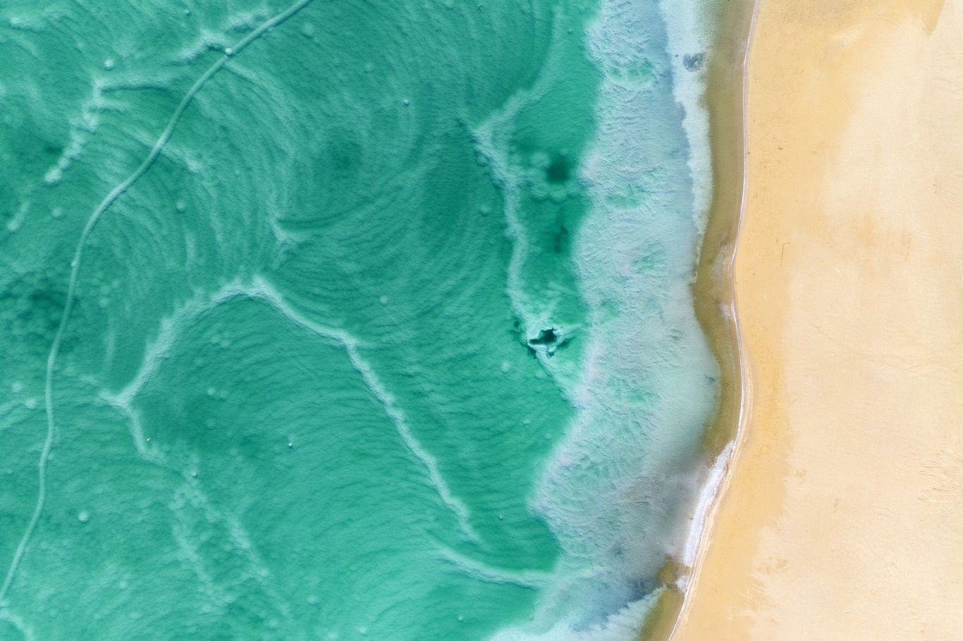 L'ETOILE - ESCAPADE AUTOUR DE JERUSALEM - 8J/7N pas cher photo 5