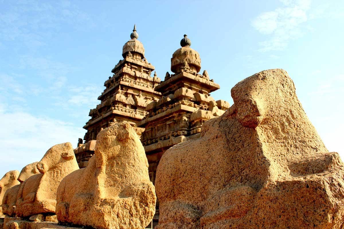 Circuit Magie de l'Inde du Sud pas cher photo 2