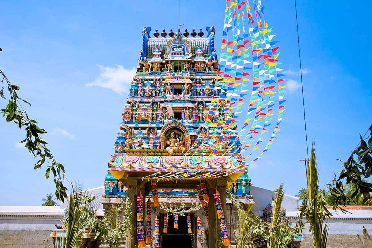 Circuit Magie de l'Inde du Sud pas cher photo 3