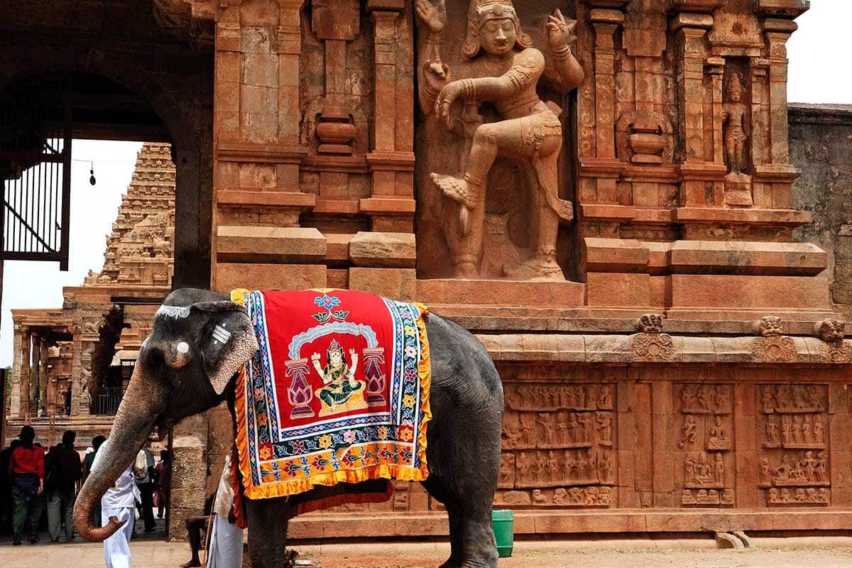 Circuit Magie de l'Inde du Sud pas cher photo 4