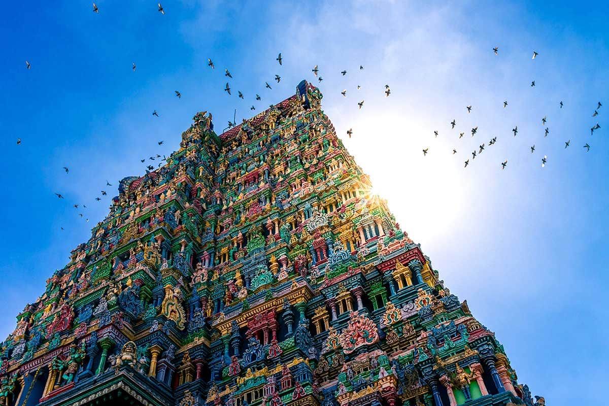 Circuit Magie de l'Inde du Sud pas cher photo 5