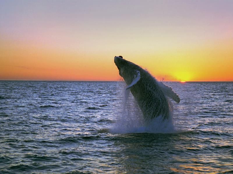 Circuit Le Meilleur de l'Islande en Hiver pas cher photo 7