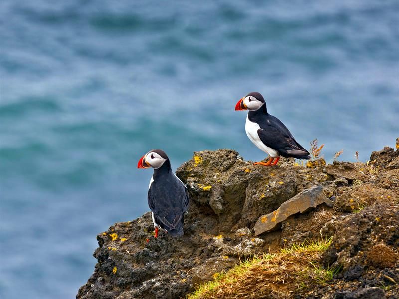 Circuit Le Meilleur de l'Islande en Hiver pas cher photo 10
