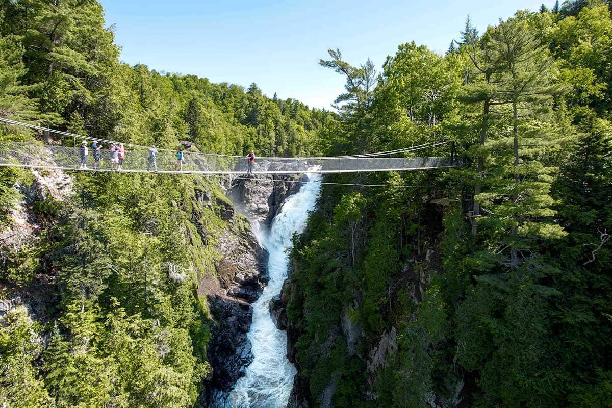 Sensationnelle Etoile Canadienne pas cher photo 10
