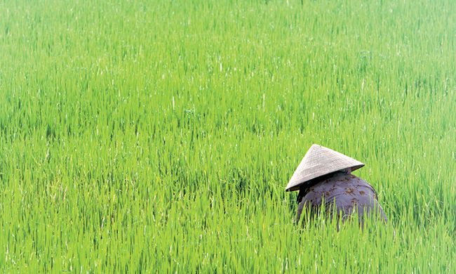 1ER REGARD VIETNAM & PHAN THIET pas cher photo 11