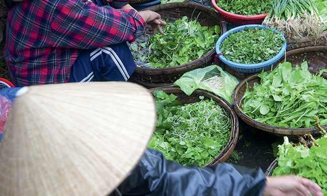 1ER REGARD VIETNAM & PHAN THIET pas cher photo 12