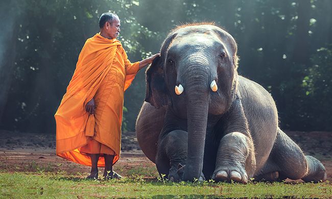 INDISPENSABLE LAOS pas cher photo 10