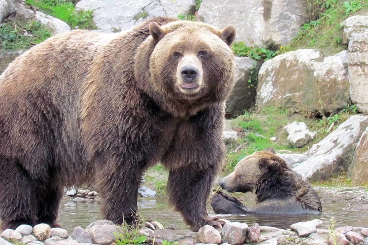 Circuit Canadavision en 10 jours pas cher photo 7