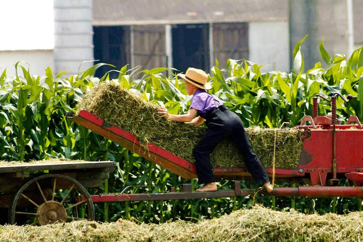 Circuit Clin d'oeil à l'Est pas cher photo 11