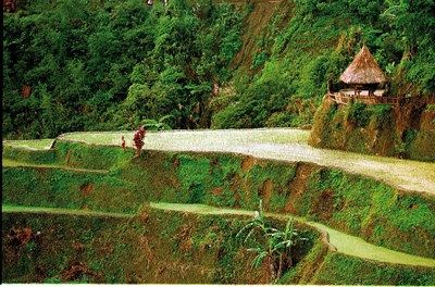 De Manille aux Rizières de Banaue pas cher photo 4