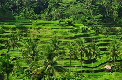 Magie de Bali, en hôtels 3* pas cher photo 4