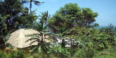 Vietnam, Terre du Dragon et Phu Quoc pas cher photo 11