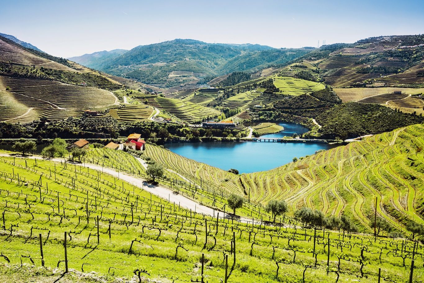 AU FIL DU DOURO - 8J/7N pas cher photo 4