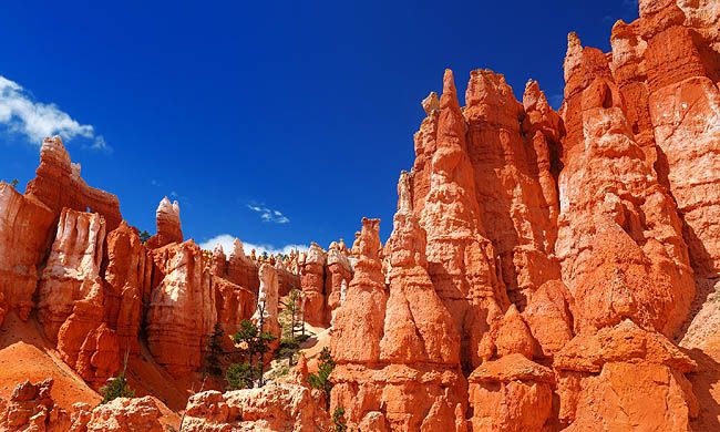 INDISPENSABLE FAR WEST pas cher photo 2