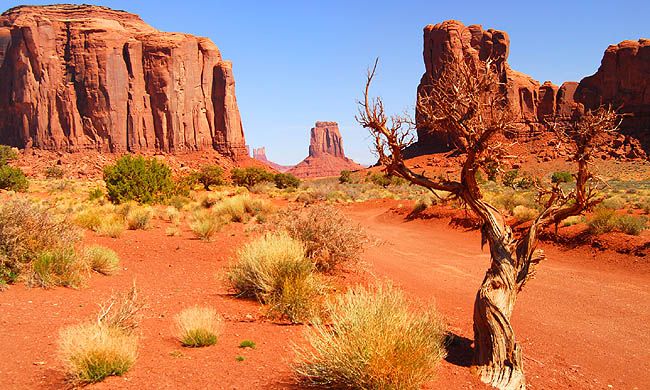 INDISPENSABLE FAR WEST pas cher photo 5