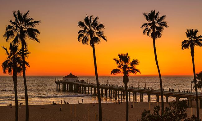 INDISPENSABLE FAR WEST pas cher photo 6