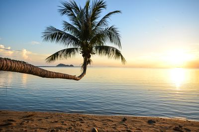Thailande hors des sentiers et Koh Chang pas cher photo 3