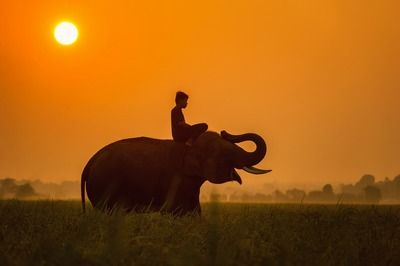 Thailande hors des sentiers et Koh Chang pas cher photo 5