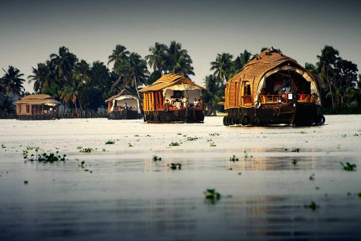 Circuit L'Inde du Sud + Extension à Bangalore, au pays où les dieux dansent pas cher photo 1