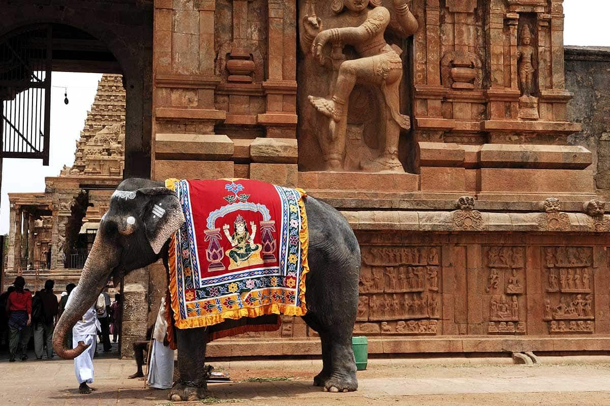 Circuit L'Inde du Sud + Extension à Bangalore, au pays où les dieux dansent pas cher photo 5