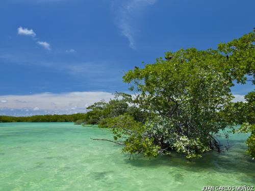 Circuit Découverte Maya et plage des Caraïbes (Logement au Framissima Viva Wyndham Maya) 4* pas cher photo 3