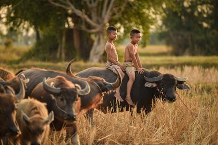 Immersion en Thaïlande 12J/9N - 2020 pas cher photo 2