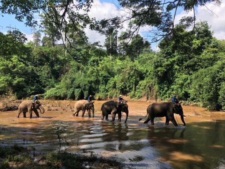 Immersion en Thaïlande 12J/9N - 2020 pas cher photo 6