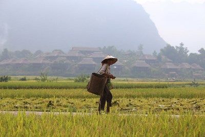 Vietnam Hors des Sentiers Battus pas cher photo 10