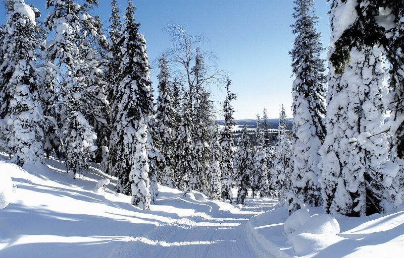 Magie de Laponie pas cher photo 7