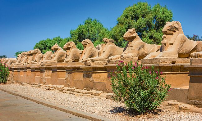 1er REGARD EGYPTE pas cher photo 1