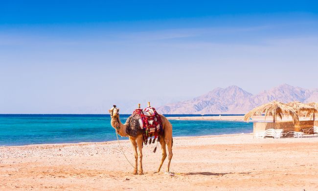 1er REGARD EGYPTE pas cher photo 8