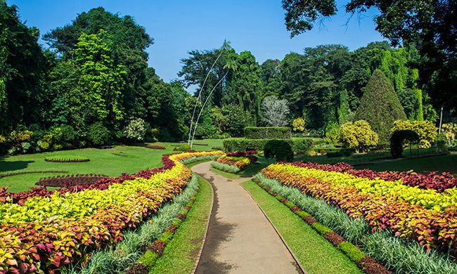 INDISPENSABLE SRI LANKA + WELIGAMA pas cher photo 5